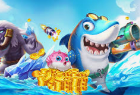 k·yun新网站登录下载app2024最新版