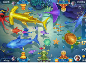 k·yun新网站登录下载app2024最新版